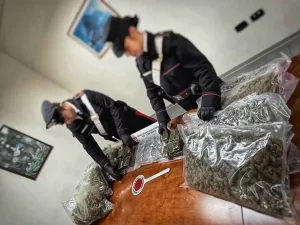 Mugnano, il sorvegliato speciale tradito dal fiuto dei cani: in casa nascondeva 14 chili di droga