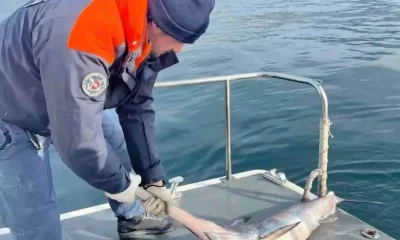 Pesca di frodo nel porto di Torre del Greco: sequestrata rete da 1.000 metri all’imboccatura