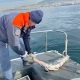 Pesca di frodo nel porto di Torre del Greco: sequestrata rete da 1.000 metri all’imboccatura