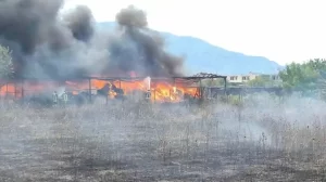 Pompei, arrestato il piromane di via Spinelli