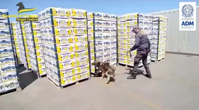 Traffico di droga tra Calabria e Campania: cinque ai domiciliari