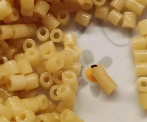 Insetti nei pasti: nuove segnalazioni alla mensa della scuola di San Sebastiano al Vesuvio