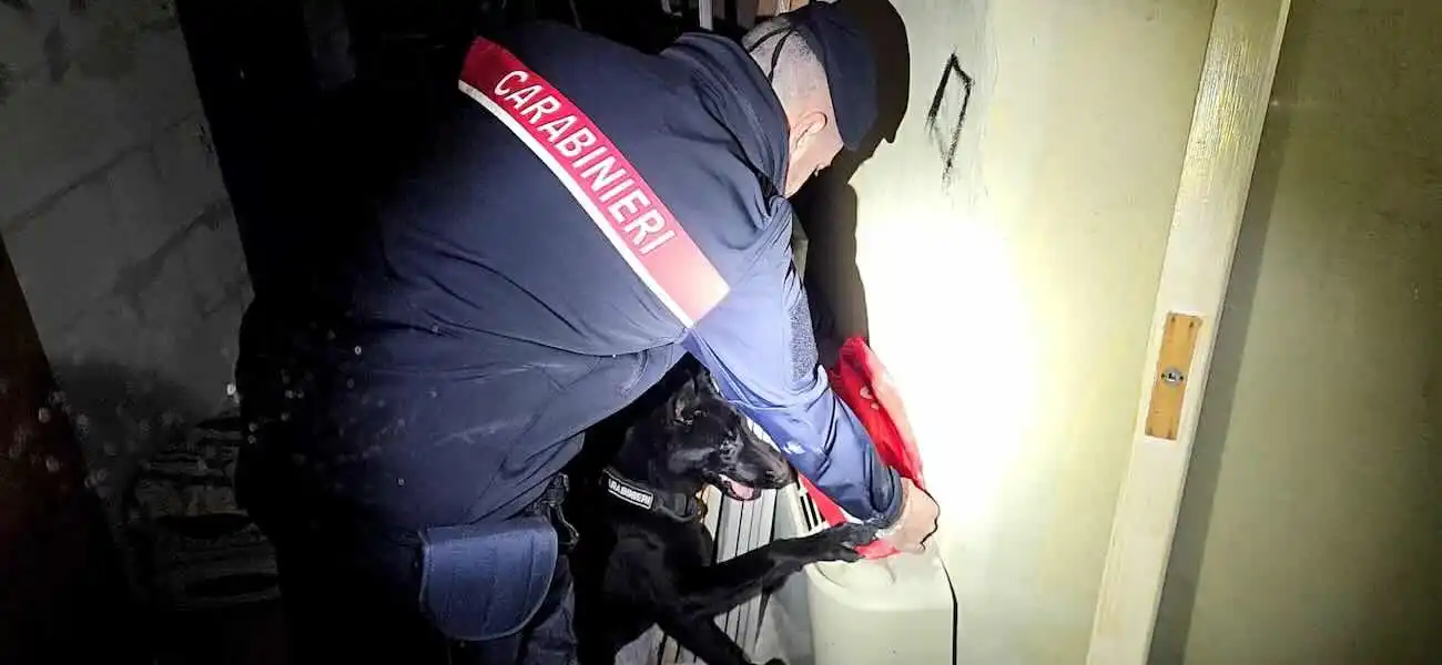 Blitz nelle aree popolari di Brusciano, Marigliano e Somma Vesuviana: sequestrati armi e droga