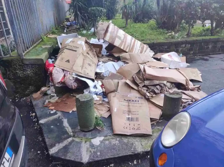 Rifiuti sommergono antiche mura greche in Piazza Cavour a Napoli: la denuncia dei cittadini