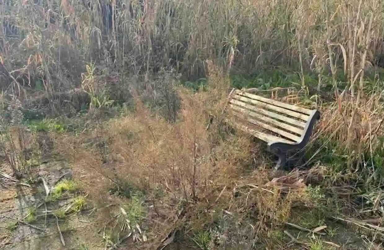 Giardini di Liternum a Giugliano: dal progetto di rinascita al degrado, esclusi dai percorsi turistici