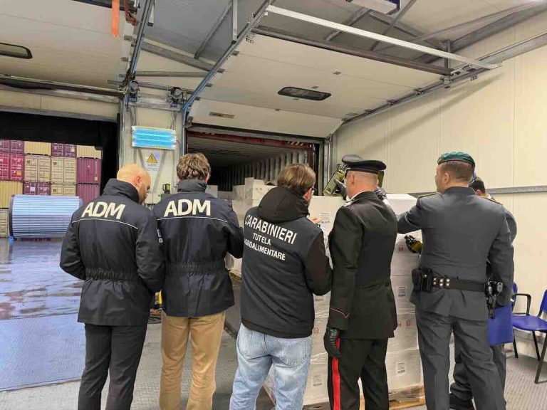 Maxi sequestro di olio contraffatto al porto di Salerno, spacciato per extravergine