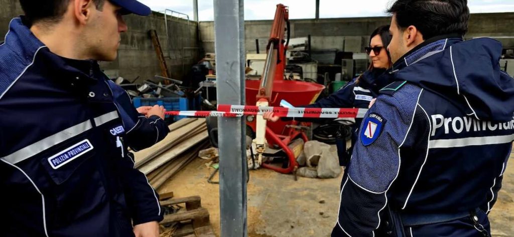 Sequestro shock: bufale morte usate come mangime e sversamenti illeciti scoperti nel settore agroalimentare