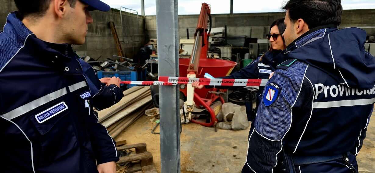 Sequestro shock: bufale morte usate come mangime e sversamenti illeciti scoperti nel settore agroalimentare