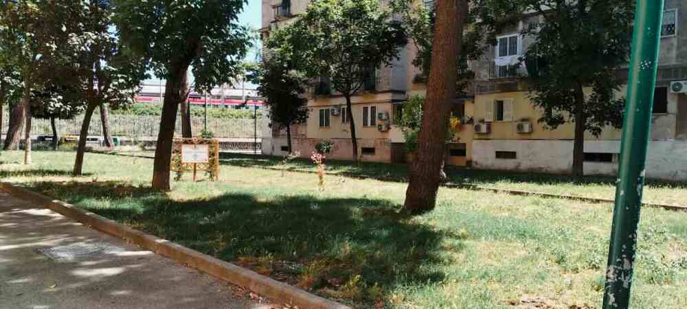 Rione Luzzatti a Napoli: giovani in prima linea per il verde urbano