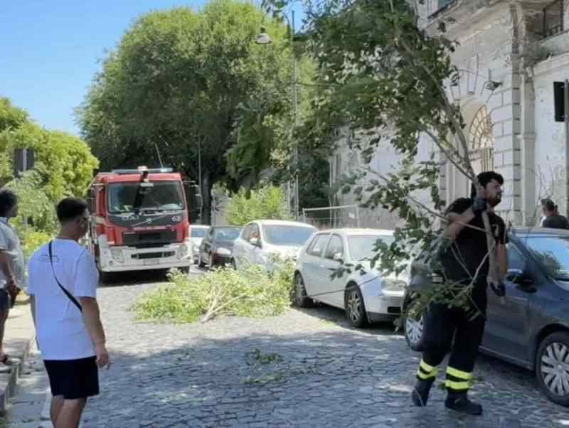 Castellammare, albero crolla in via Caio Duilio: danni a diverse auto