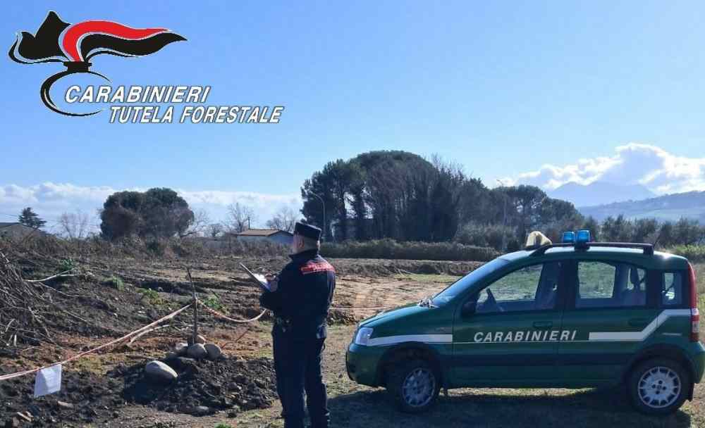 Sequestrato un cantiere nautico a Torre Annunziata: indagini in corso