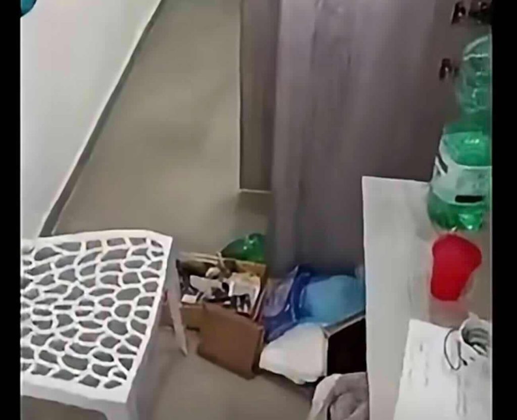 Quarto, raid notturno al centro per bambini autistici: sede della «Coccinella APS» inagibile.
