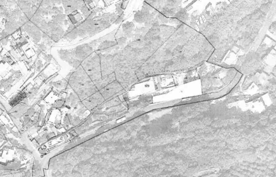 Ischia, polemica per l’abbattimento di alberi su 12mila mq per nuovo centro rifiuti