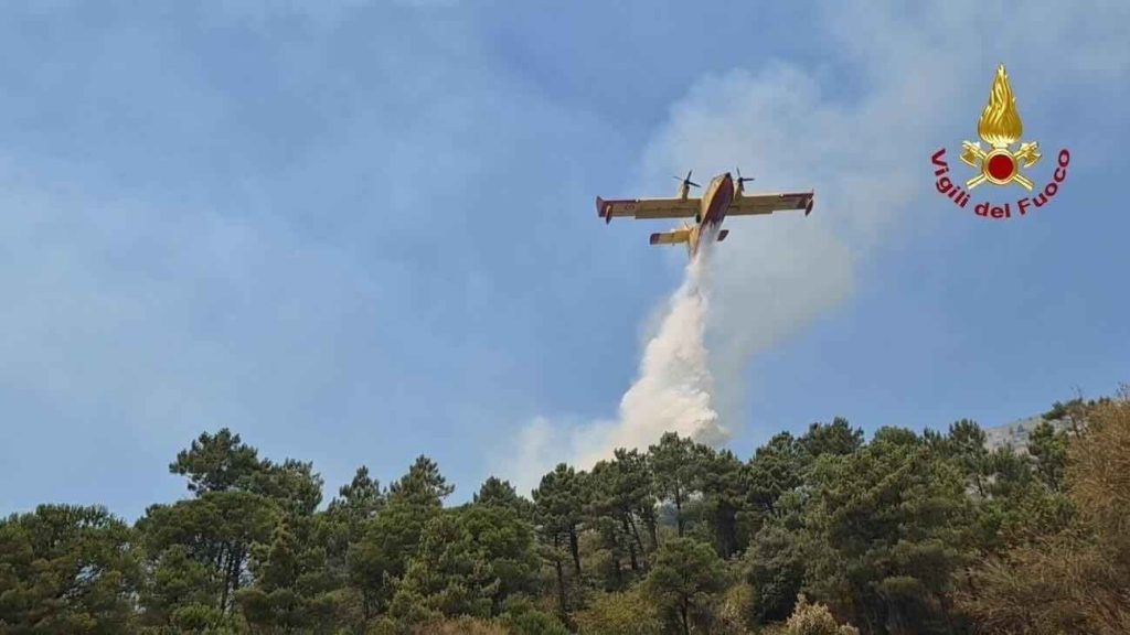 Incendio a Ischia, fiamme sotto controllo grazie a interventi aerei e di terra a San Pancrazio