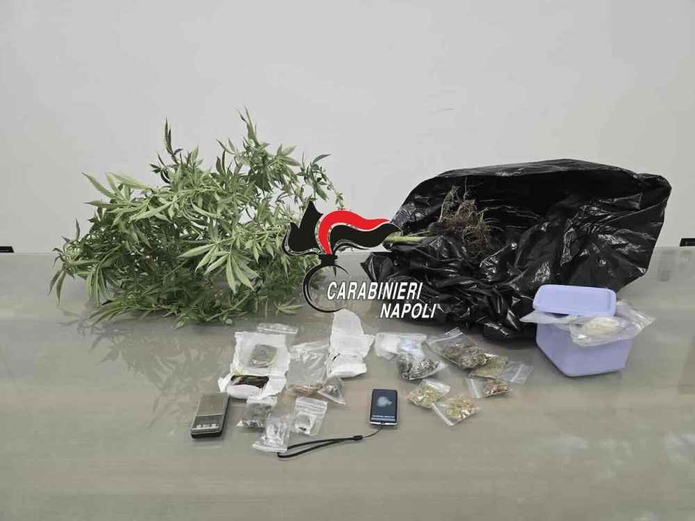 Santa Maria La Carità, arrestato pusher incensurato con una coltivazione sotterranea di marijuana
