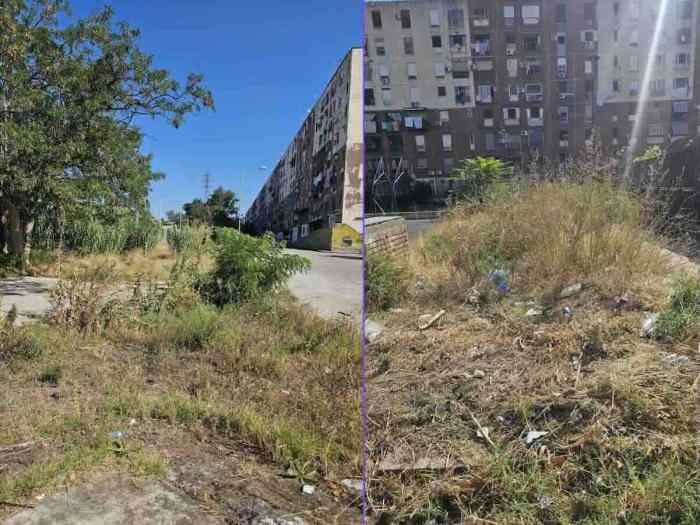 Rioni ERP a Napoli, degrado ambientale: allerta per il verde trascurato