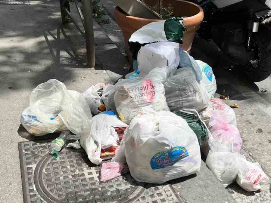 Vomero e Arenella colpite da emergenza blatte: allerta per la salute pubblica