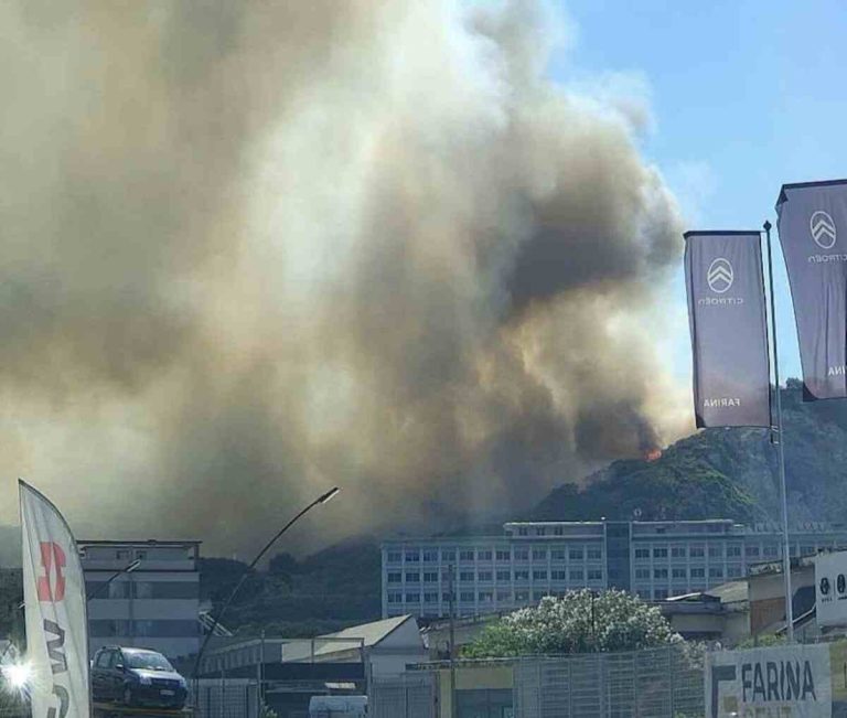Pozzuoli, incendio minaccia scuole e concessionarie: intervento dei vigili del fuoco