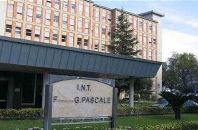 “Napoli, crisi nella ricerca oncologica: a rischio quasi 100 posti tra ricercatori e borsisti”