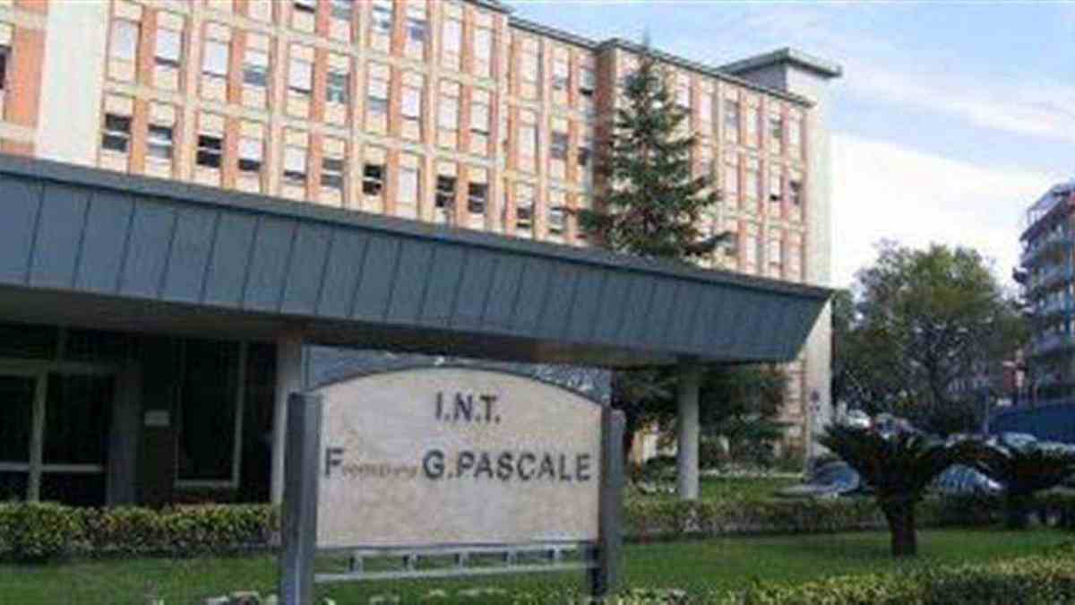 “Napoli, crisi nella ricerca oncologica: a rischio quasi 100 posti tra ricercatori e borsisti”