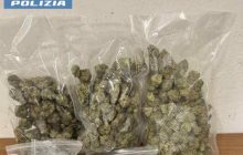 Barra, arrestato 19enne con oltre 300 grammi di marijuana: indagini in corso