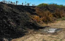 Corpo carbonizzato rinvenuto in un terreno a Eboli: avviate indagini