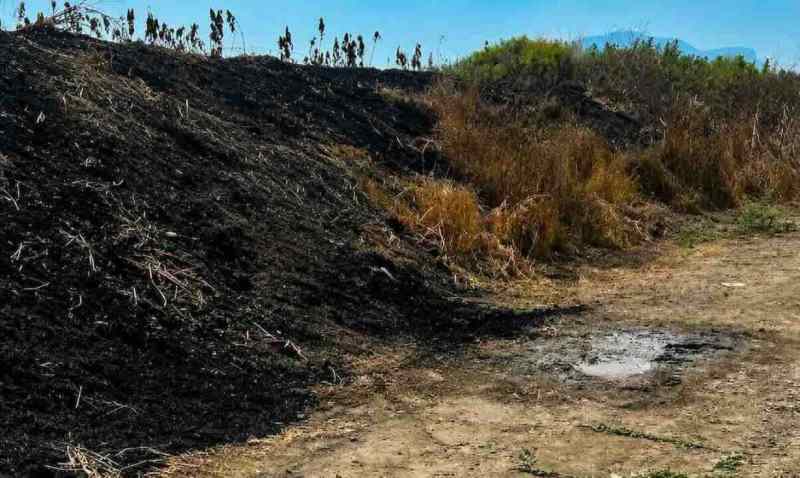 Corpo carbonizzato rinvenuto in un terreno a Eboli: avviate indagini
