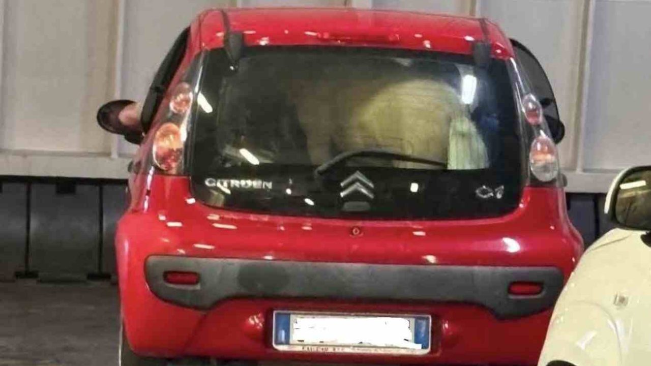 Ischia, pony trovato nel bagagliaio di una C1: clamore sul traghetto