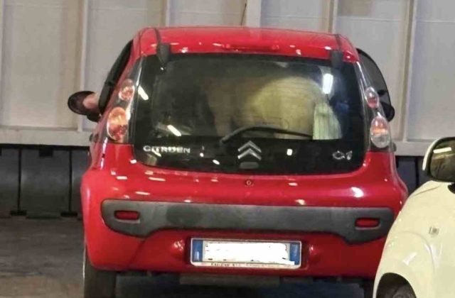Ischia, pony trovato nel bagagliaio di una C1: clamore sul traghetto