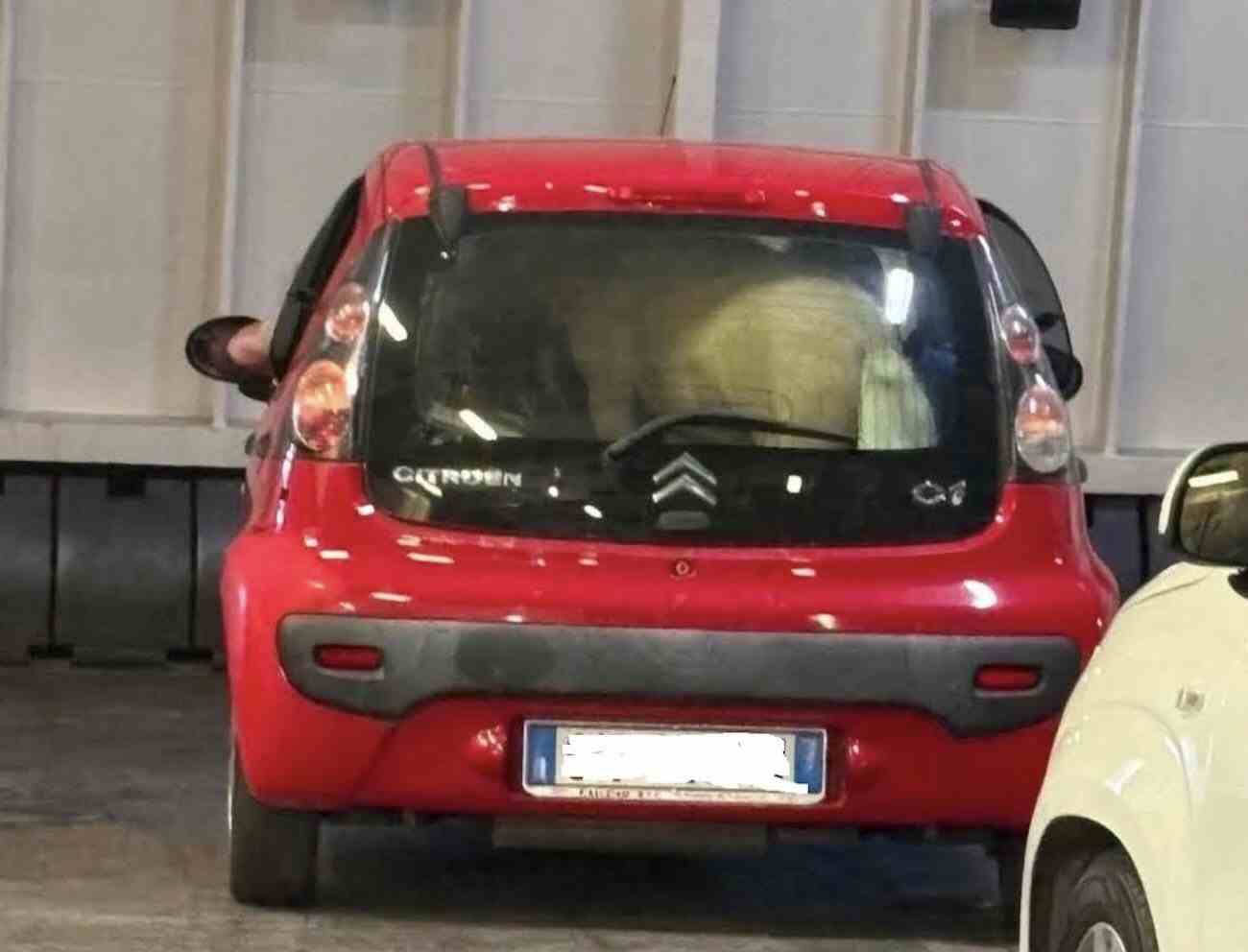 Ischia, pony trovato nel bagagliaio di una C1: clamore sul traghetto