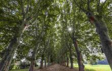 Scafati, apertura del Parco del Real Polverificio Borbonico: appuntamento il 28 luglio.