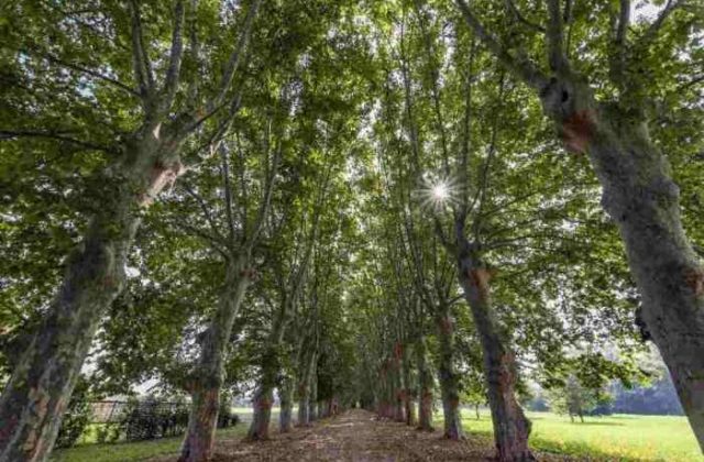 Scafati, apertura del Parco del Real Polverificio Borbonico: appuntamento il 28 luglio.