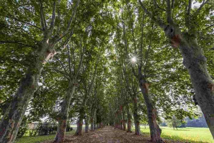 Scafati, apertura del Parco del Real Polverificio Borbonico: appuntamento il 28 luglio.