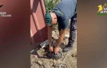 Truffa legata ai Decreti Flussi: 22 misure cautelari eseguite a Napoli