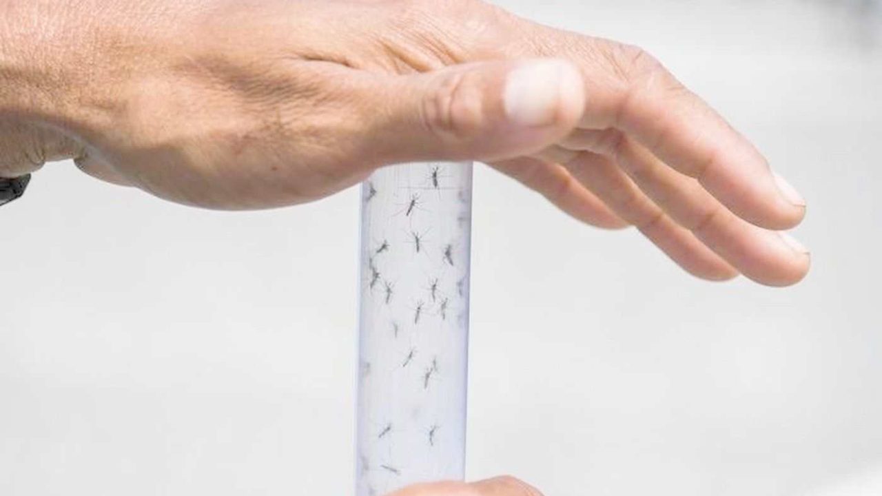 Nessuna criticità al Cotugno: chiarimenti sul caso di West Nile