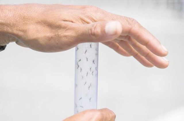 Nessuna criticità al Cotugno: chiarimenti sul caso di West Nile