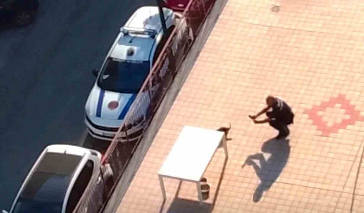 Casoria, tragico abbandono: cane muore sul terrazzo sotto il sole caldo