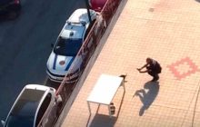 Casoria, tragico abbandono: cane muore sul terrazzo sotto il sole caldo