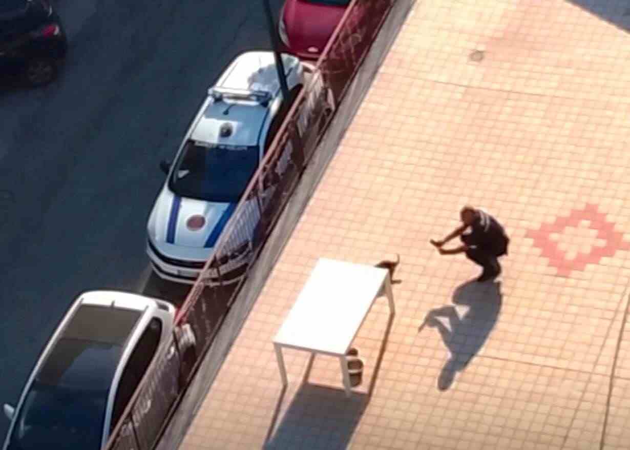 Casoria, tragico abbandono: cane muore sul terrazzo sotto il sole caldo