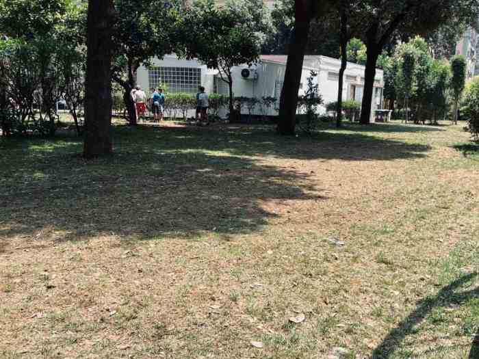 Parco Mascagna a Napoli: il quartiere sollecita interventi tra riqualificazione e degrado