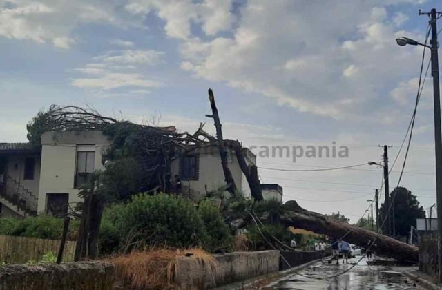 Scafati, alberi caduti su una villetta: famiglia bloccata in casa