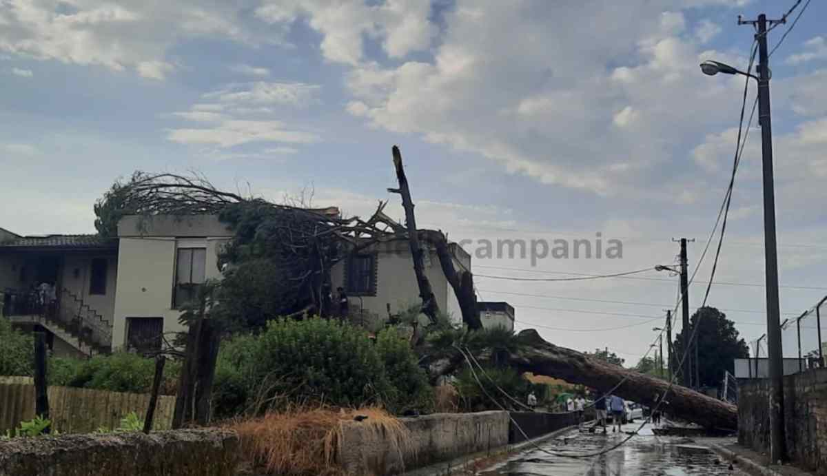 Scafati, alberi caduti su una villetta: famiglia bloccata in casa