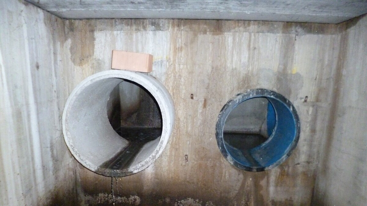 La Campania in difficoltà: critiche per la qualità delle acque della costa napoletana